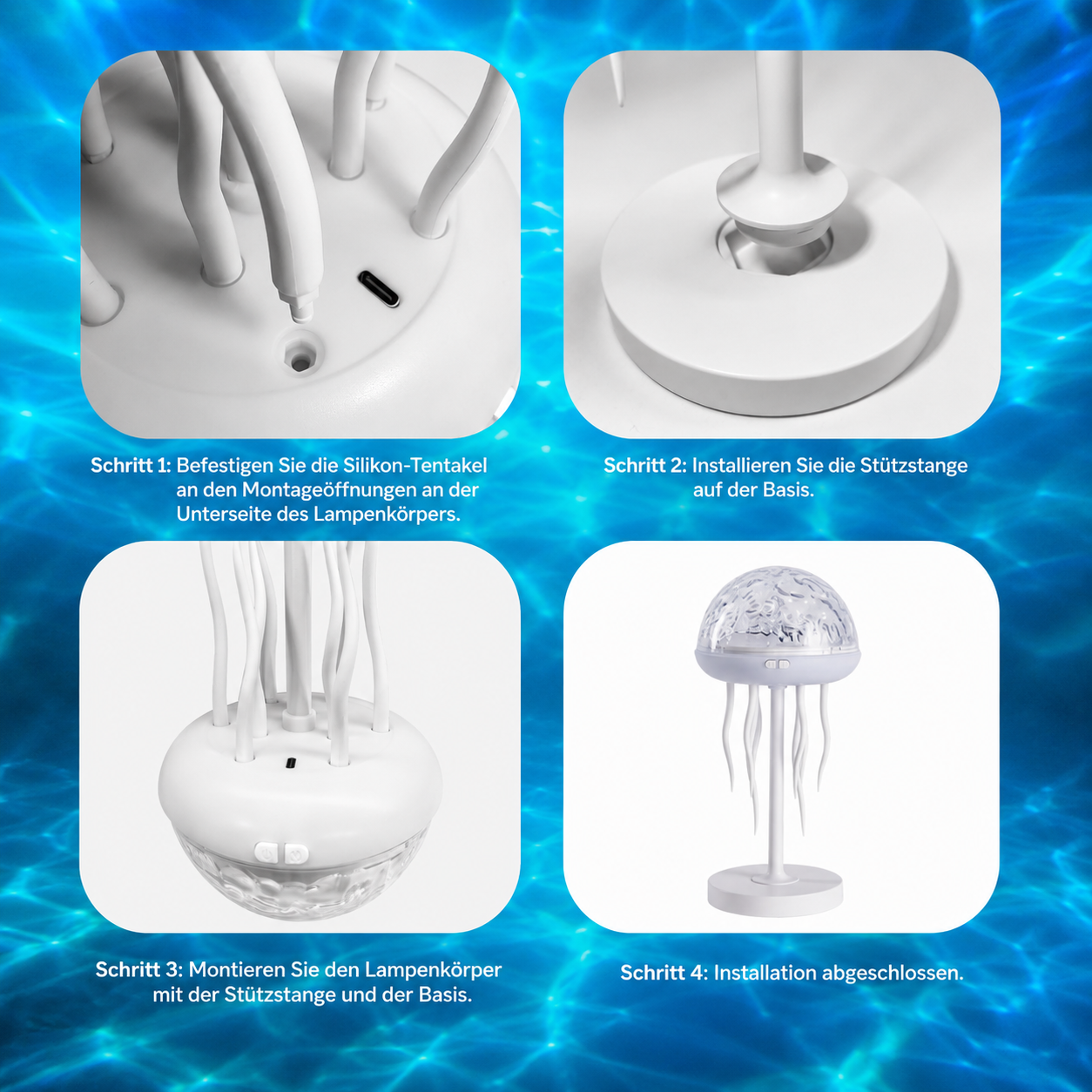Quallenlampe – Ozean-Atmosphäre